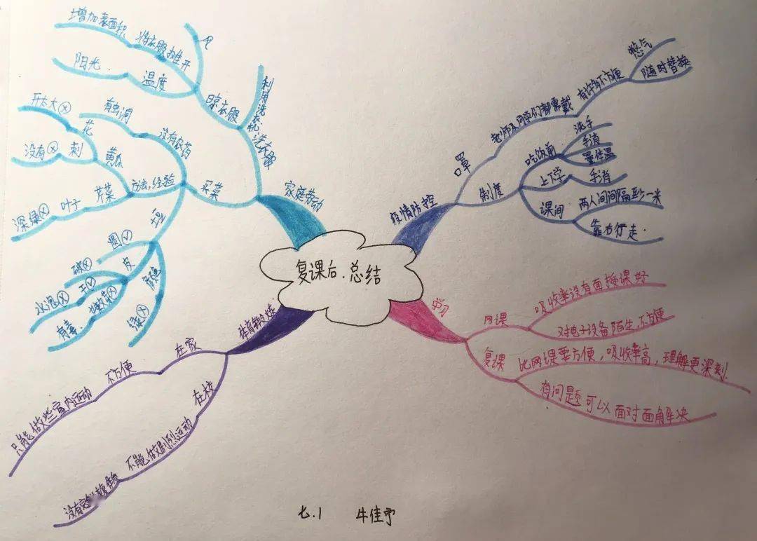 青春无极限学习无止境天津一中七八年级复课总结思维导图展示