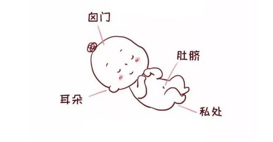 宝宝|记住“三摸五不摸”,谨防亲戚下“黑手”!乱摸宝宝易变傻