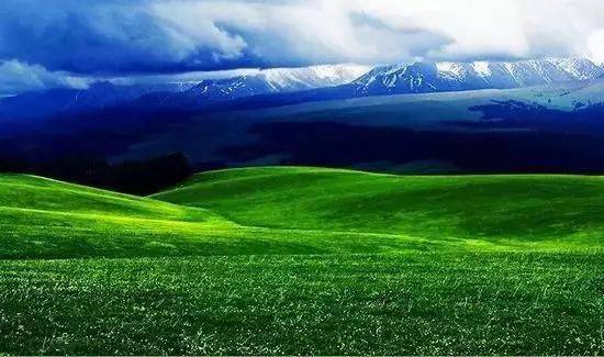 伊犁很美,因为这里是新疆.