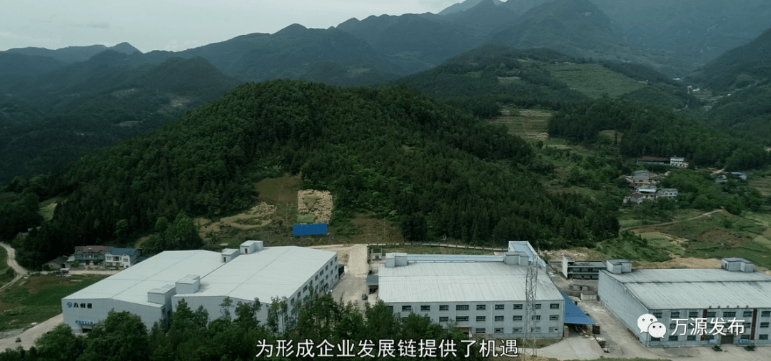 万源市中药材加工及种植基地建设,实木家具(扁条)生产线技术改造项目