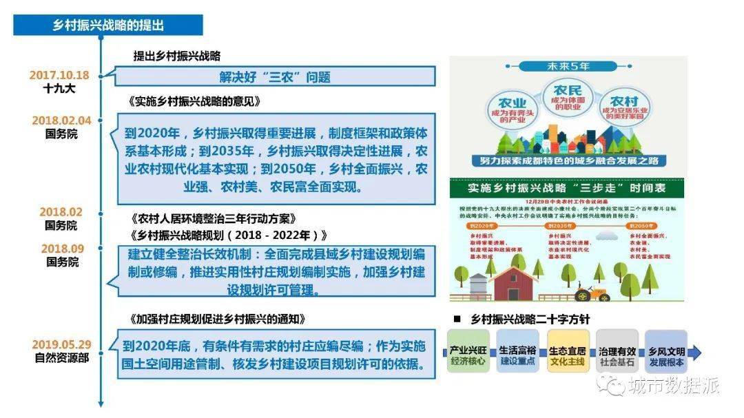 实操干货国土空间规划背景下实用性村庄规划要点分享丨城市数据派