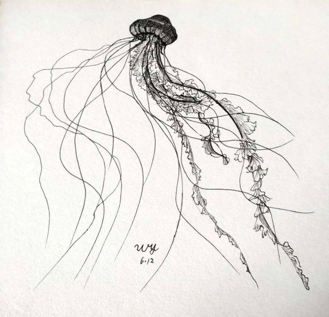 周日作业榜 | 绘栈手绘社群—线描社群
