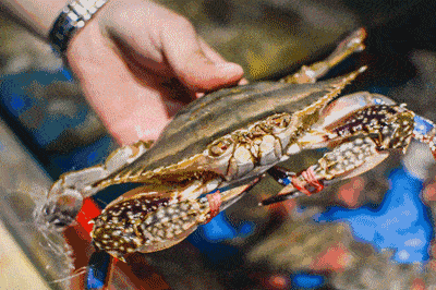 b37990437ca446d7816091644b8a67f0.gif