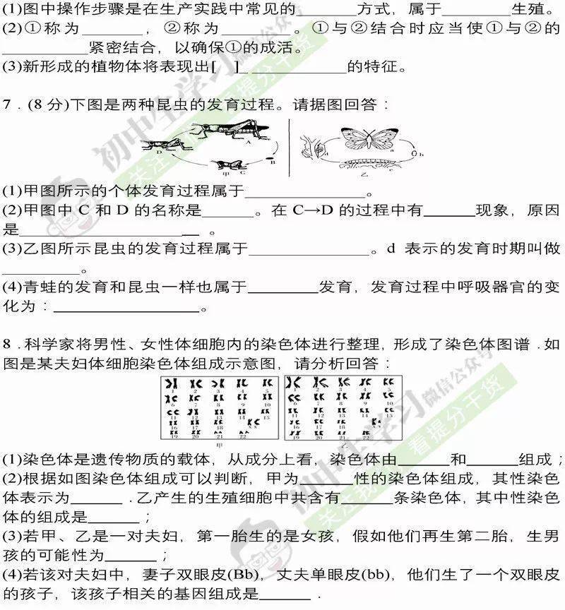 八年级生物下册识图填空题汇总, 赶紧拿去好好做!