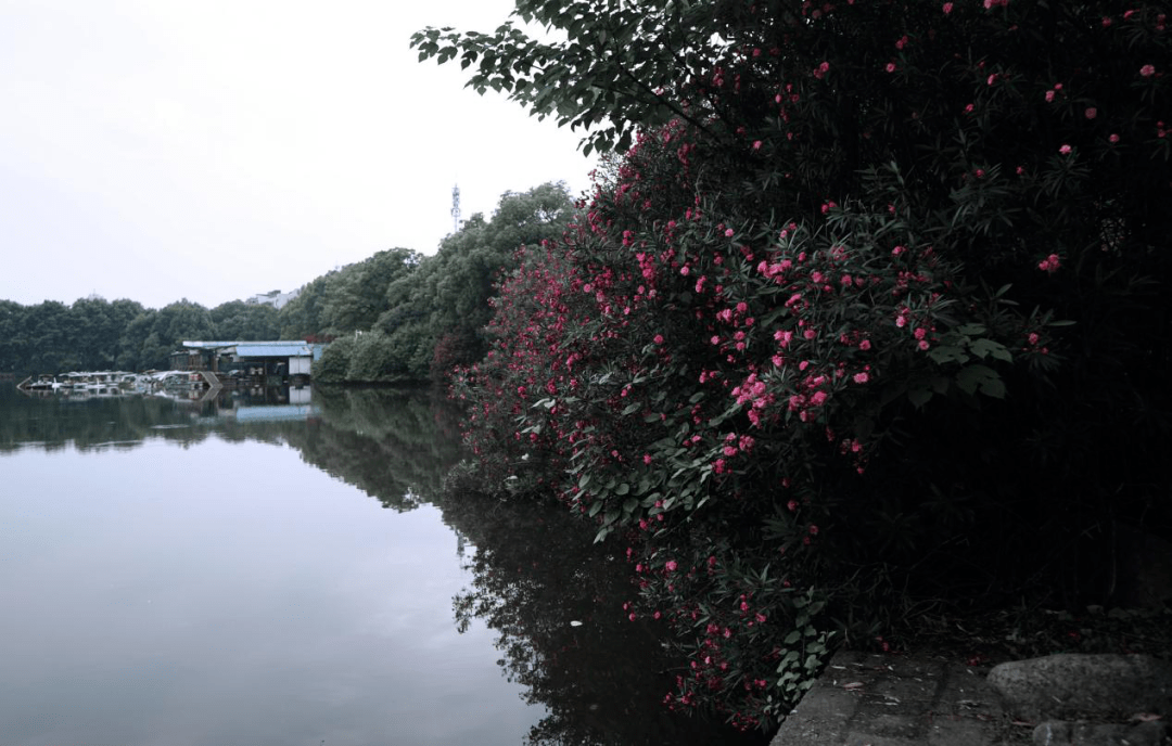 雨湖区人口_雨湖区许宏英(3)