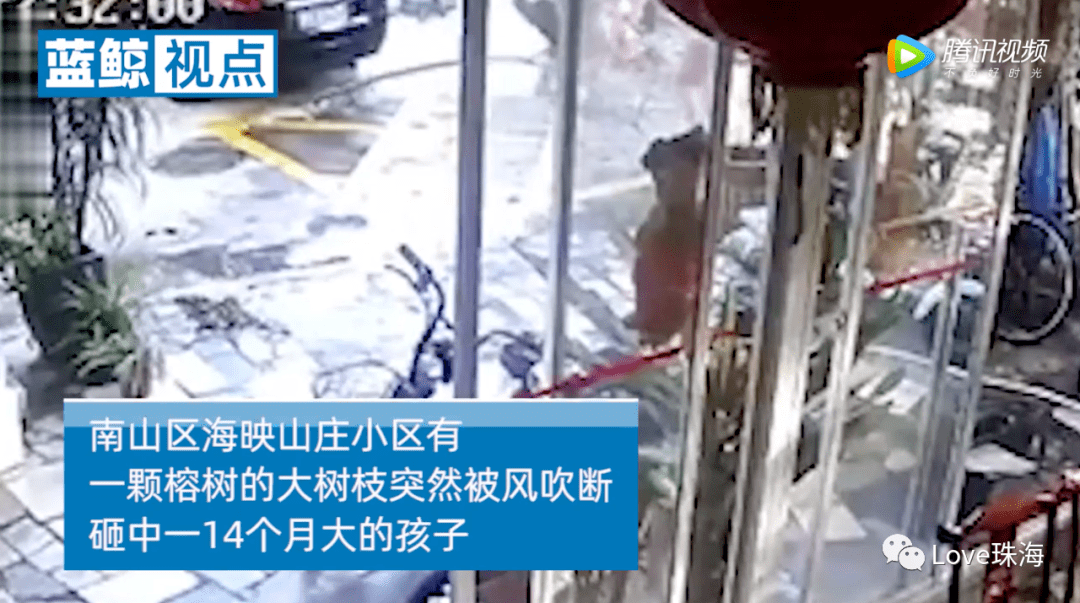 广东|接近脑死亡痛心！广东1岁宝宝被树枝砸中头部