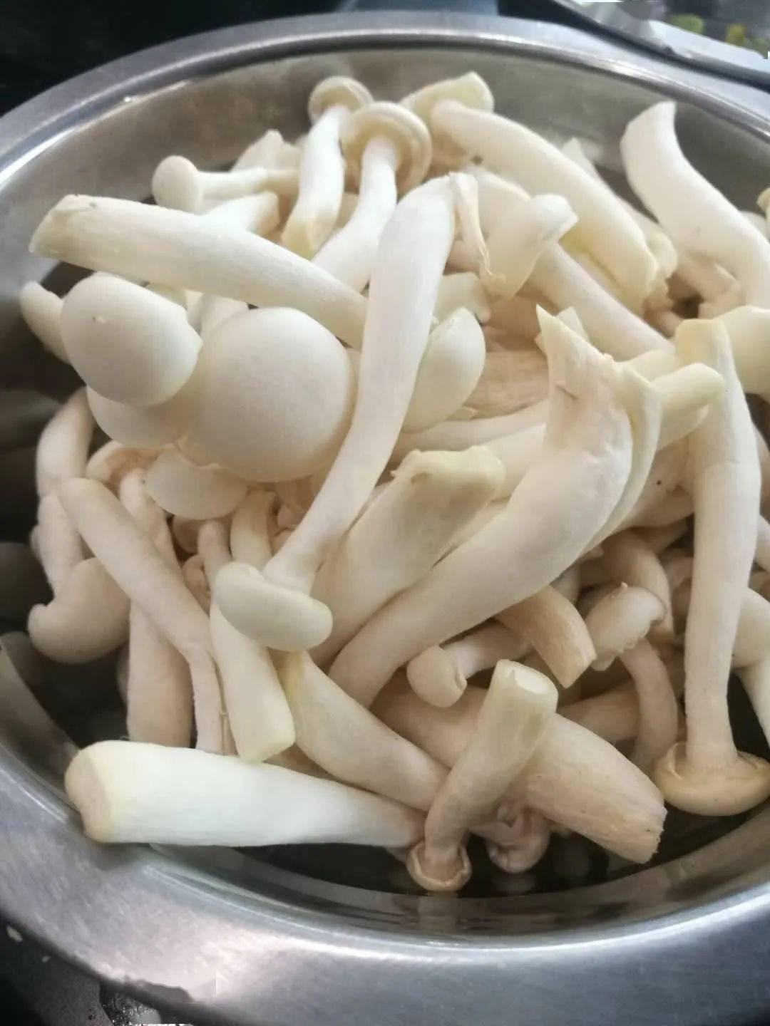 蟹味菇, 白玉菇都属于口蘑科