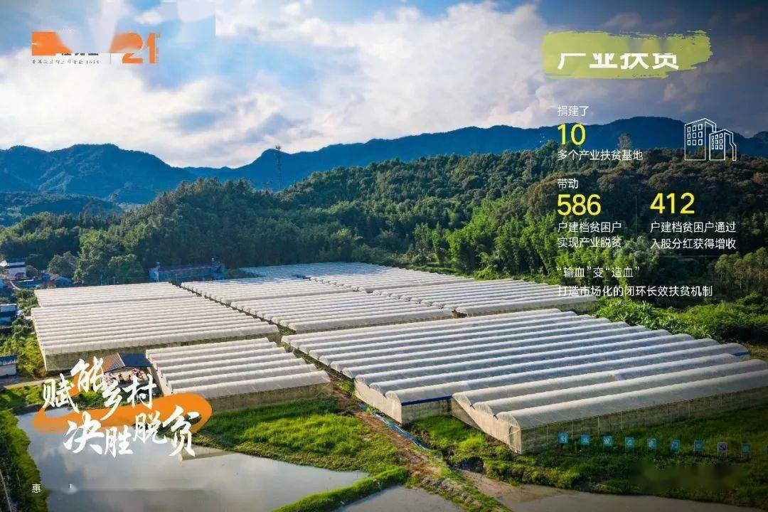 三佳村人口_人口普查图片(3)