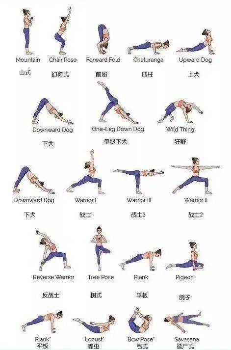 6套超好用的"流瑜伽"序列,总有一套适合你(收藏级!