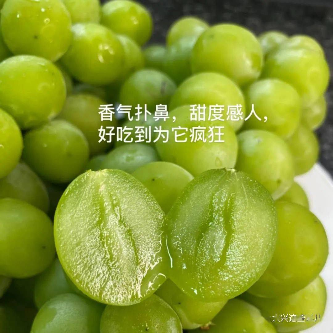 事儿|【包邮到家】保质保量价格好 事儿君7月水果美食上新啦