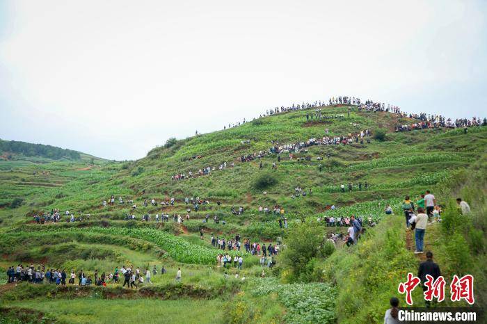 民众在威宁县秀水镇坚强村围观"怪声". 何欢 摄