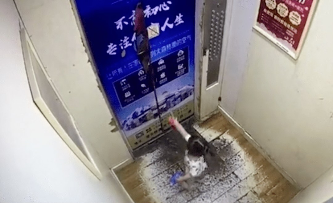 熊孩子|一句话,看住“熊孩子”!