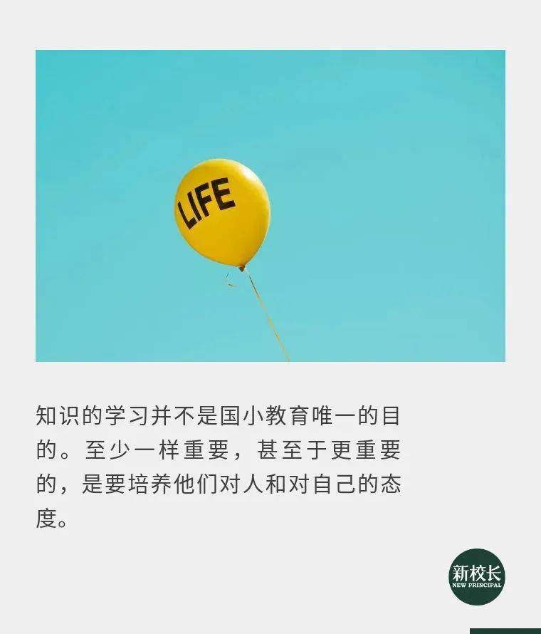 小学教育要比你想象的还宽阔丨头条 阶段