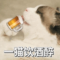 喵喵表情包第四期丨