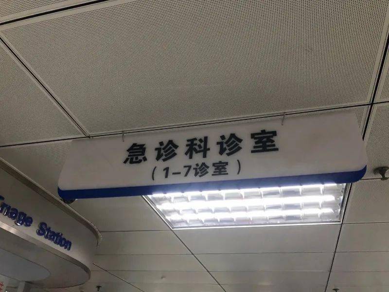 公园|扩散提醒！一女子咬这植物后中毒！公园路边常见