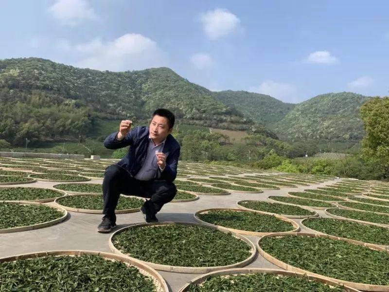 非岩不茶 非景不游学||七月第三期武夷山茶游学招募中