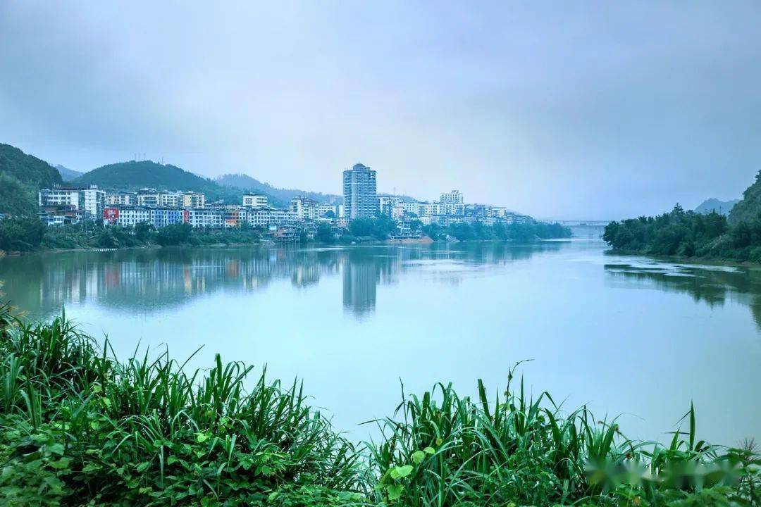 在延平区十几个乡镇中,王台镇别具一格,它有着自己鲜明的特点,绿色王