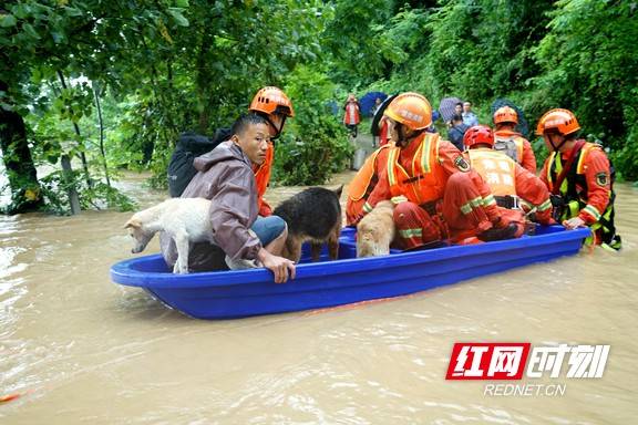 湖南|组图丨暴雨中，消防员徒步涉水4公里救援