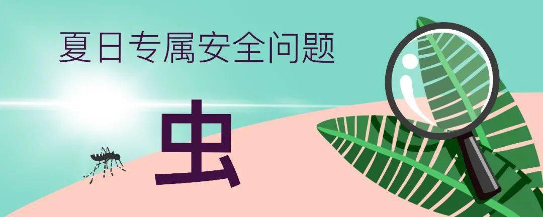 守则|儿童夏日安全守则