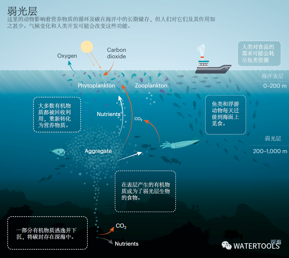 nature评论文章倡议:要对弱光层进行一次"海洋人口普查"!