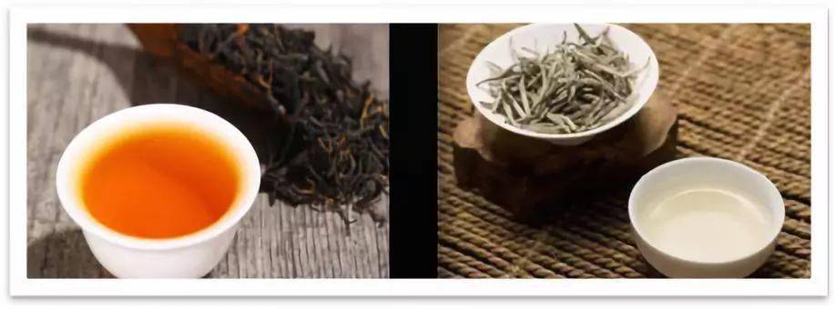 花茶|喝什么茶好？夏天