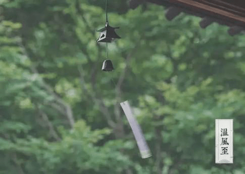 （兴平融媒）今日小暑丨晴热高温天气将成“主角” 热热热！你准备好了吗