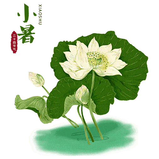 小暑早上好祝福语动态图片大全小暑节气唯美早安问候图片