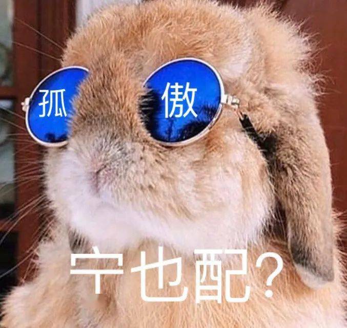 斗图必备表情包 i 哦哟 了不起 了不起