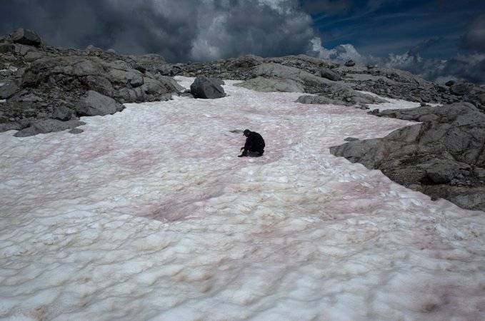 阿尔卑斯山出现粉色冰川 被当地人称为“西瓜雪”