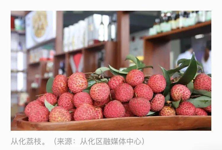 学习强国 | 广州从化:"荔枝定制 公益"带动社会爱心齐