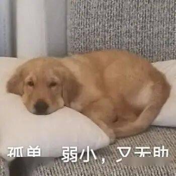 高考英语出题向ETS看齐，考完是不是就能解锁托福80+？
