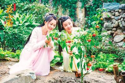 谢颖|媒体聚焦网络剧形成热潮：观看灵活，互动性、讨论性强