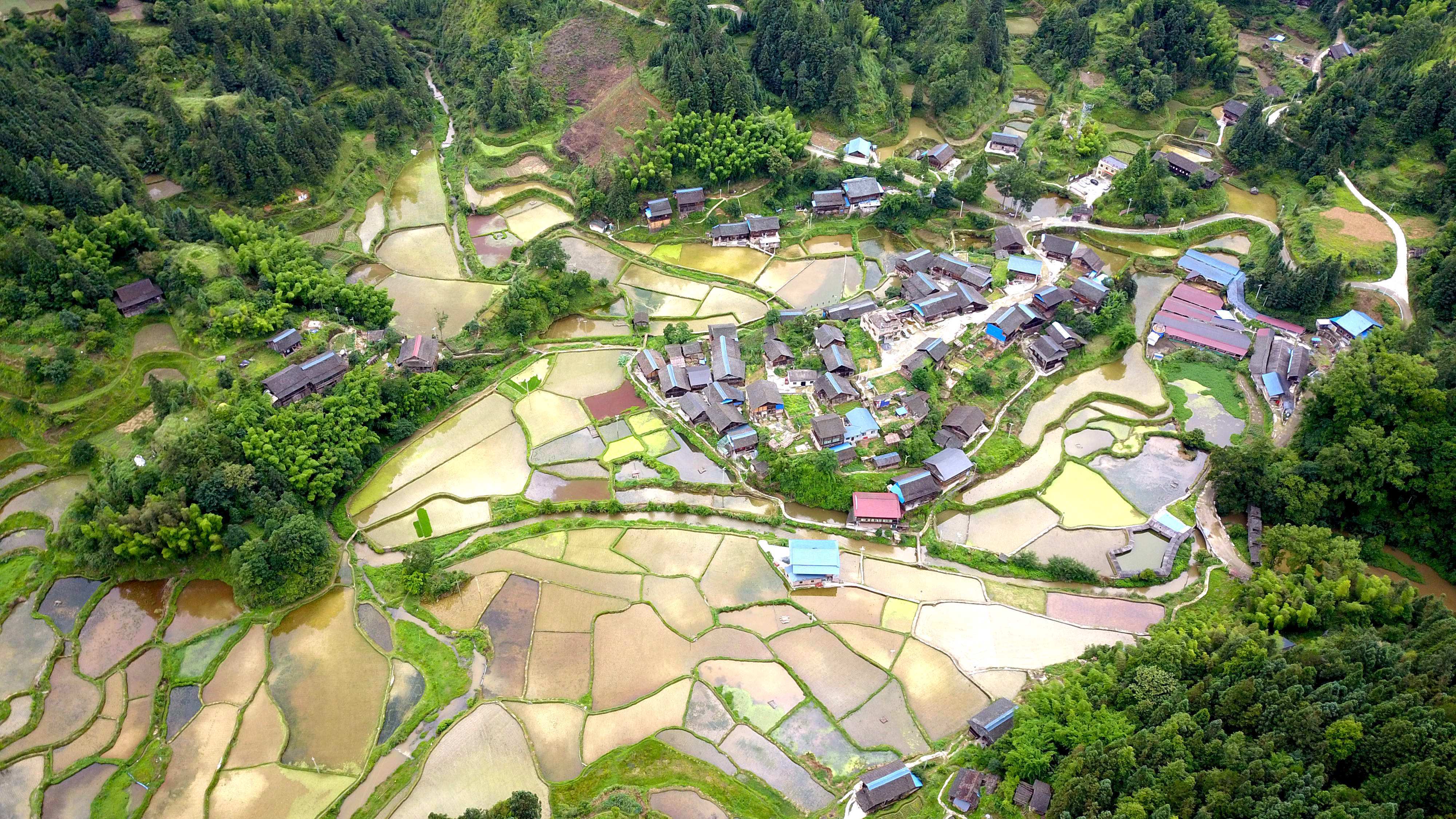 这是6月4日拍摄的贵州省榕江县仁里乡太元村田园景色(无人机照片).