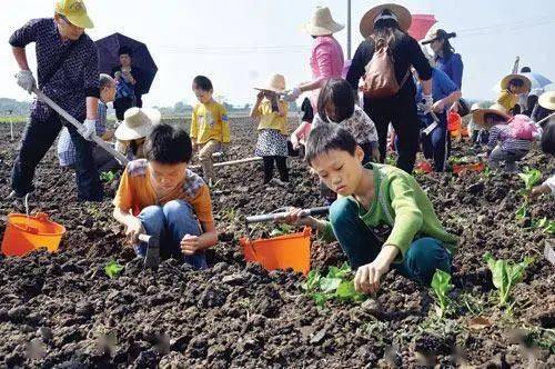 暑假到了，与其带孩子去旅游，不如带TA去这几个