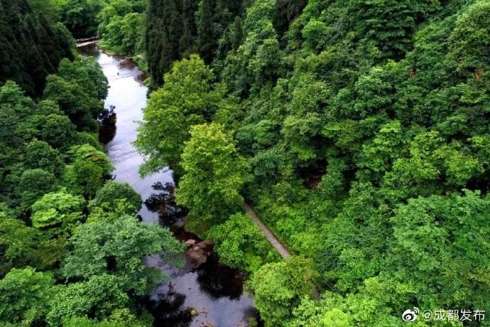 天台山|炎炎夏日，到天台山清凉玩水high起