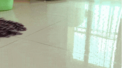 变态清洁片,1片搞定100平!拖完地板比床还干净!