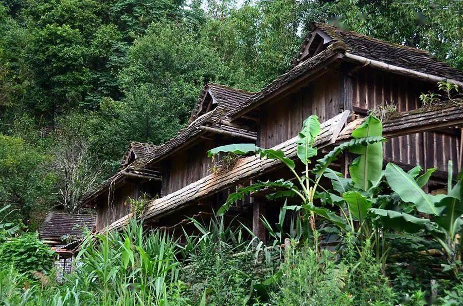 丫口寨,石头寨多依寨,拔玛寨姑娘寨 竹林寨,向阳寨… 南糯山村委会辖