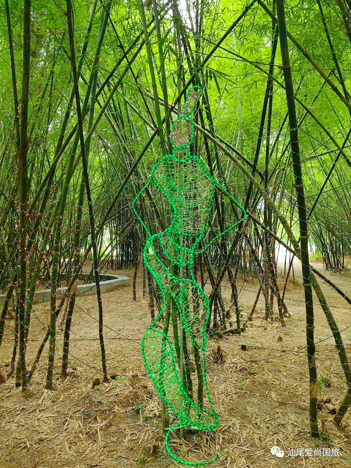 优惠购票 | 陆河竹林生态旅游区欢迎您