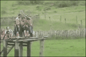 精选搞笑GIF:皇上你的龙轿呢?