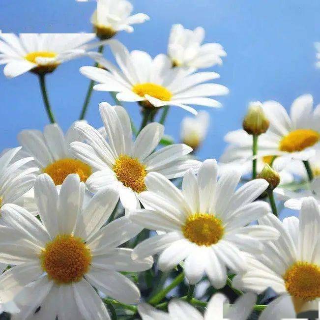 全身|洗澡时多搓搓这2处，疏通全身，更显年轻，体味淡多了