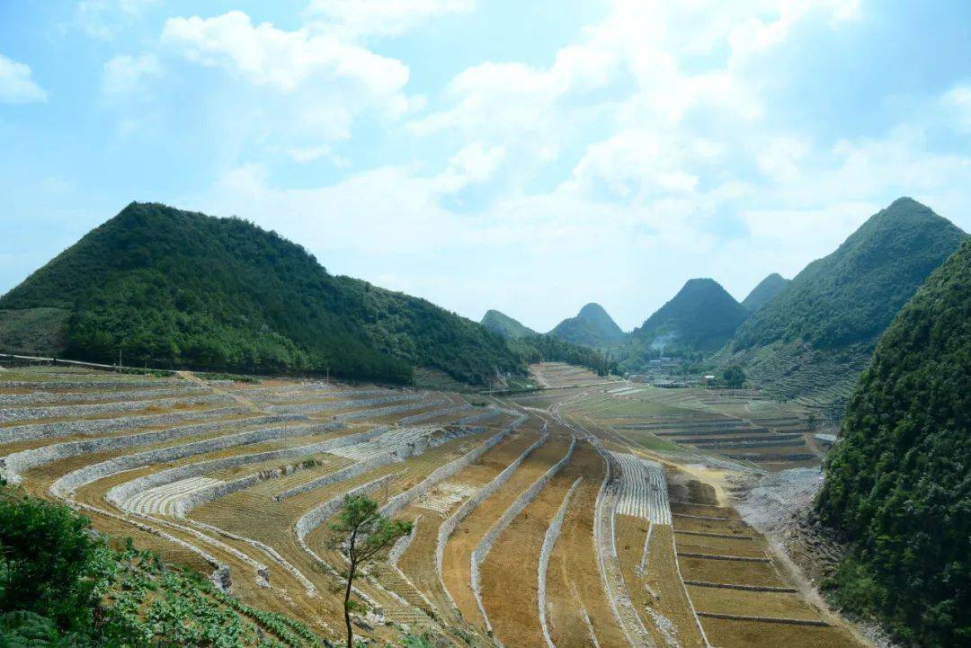 三光片区石漠化综合治理旧貌换新颜 陈明凯 摄