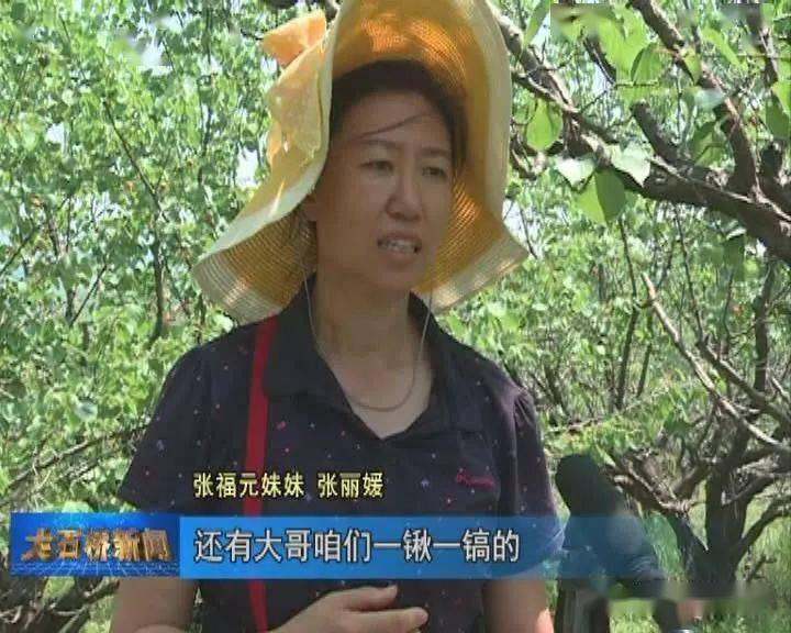 张福元妹妹 张丽媛