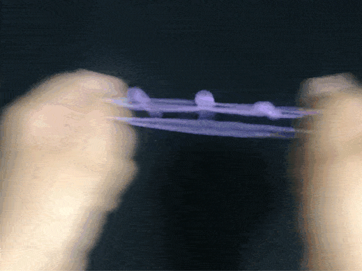 日本|这个夏天日本人都是怎么防蚊子的？