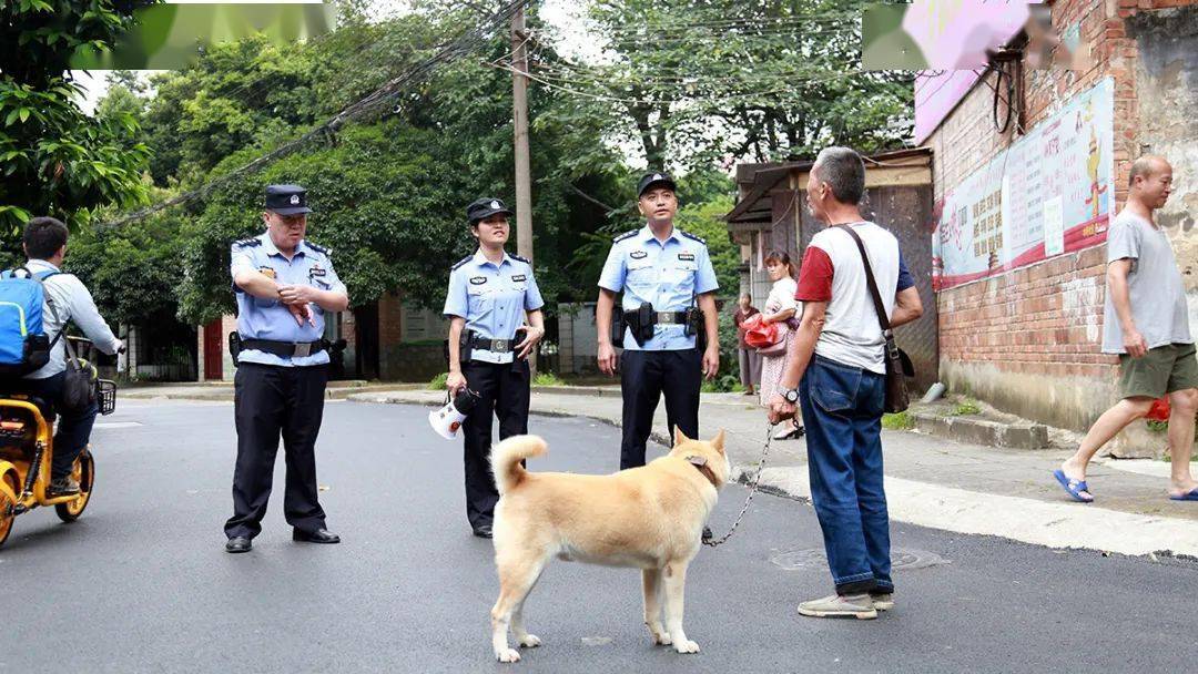龙胜人口分局_龙胜二维码图片(3)