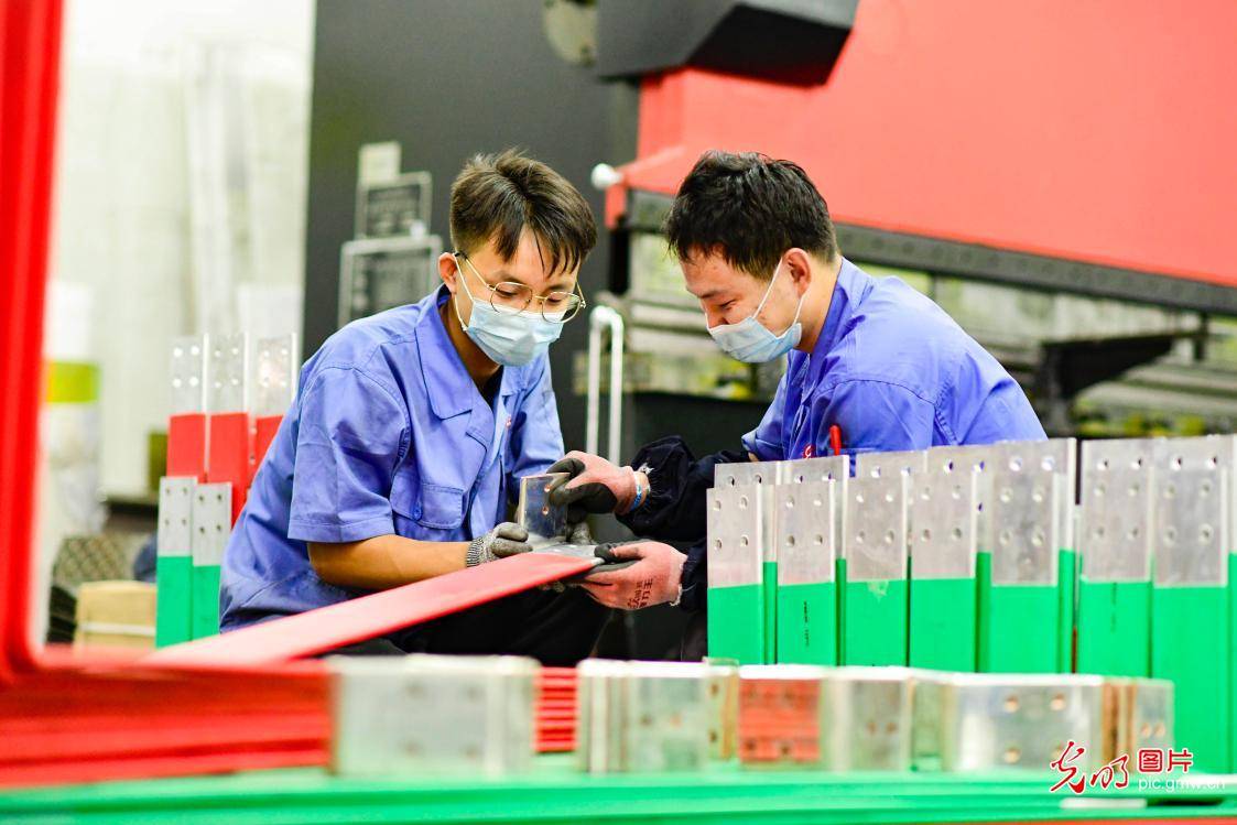 服务|“云端”架桥助学子就业