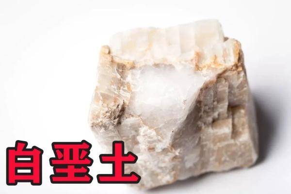 牙齿|古代洁牙工具大揭秘
