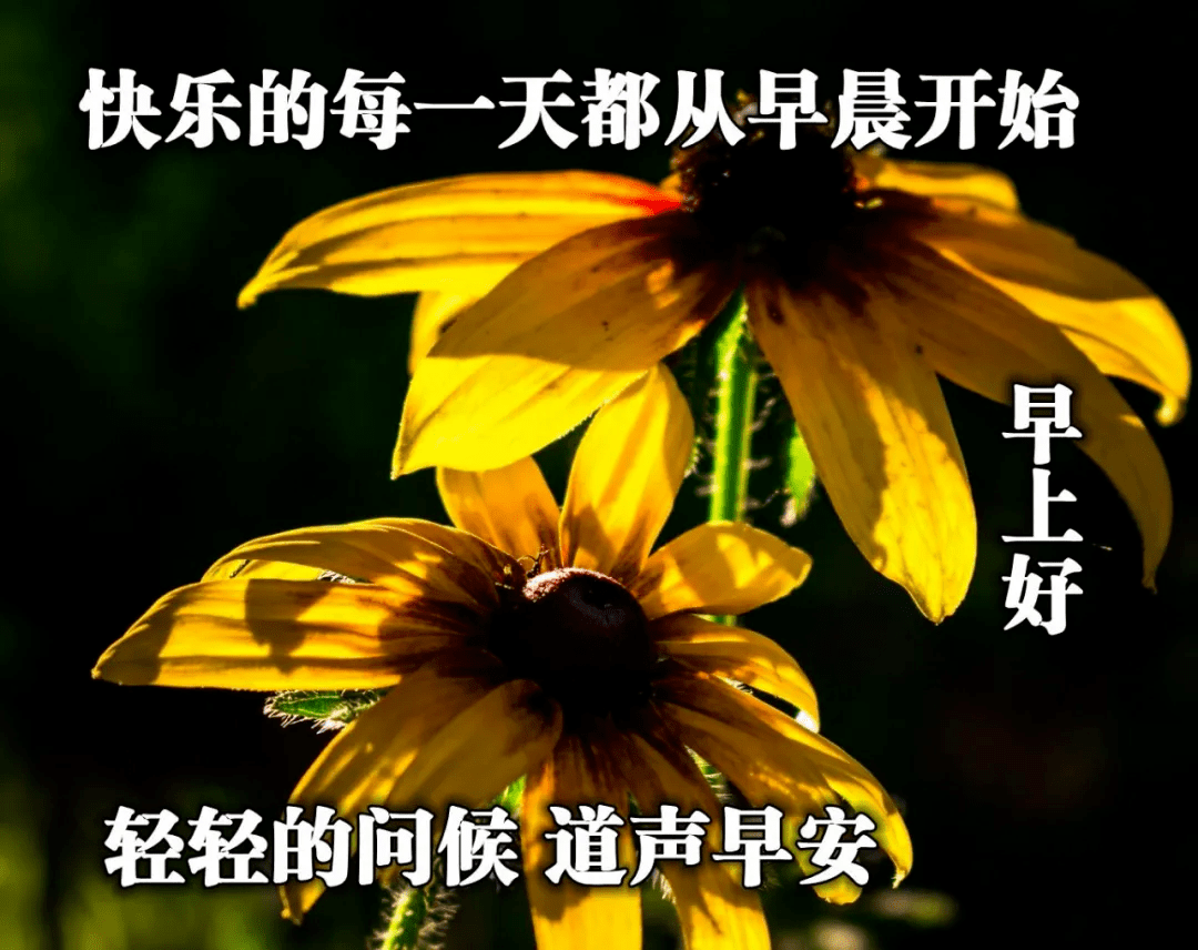 微信适合群发给朋友的温馨早安问候语 非常漂亮的美女