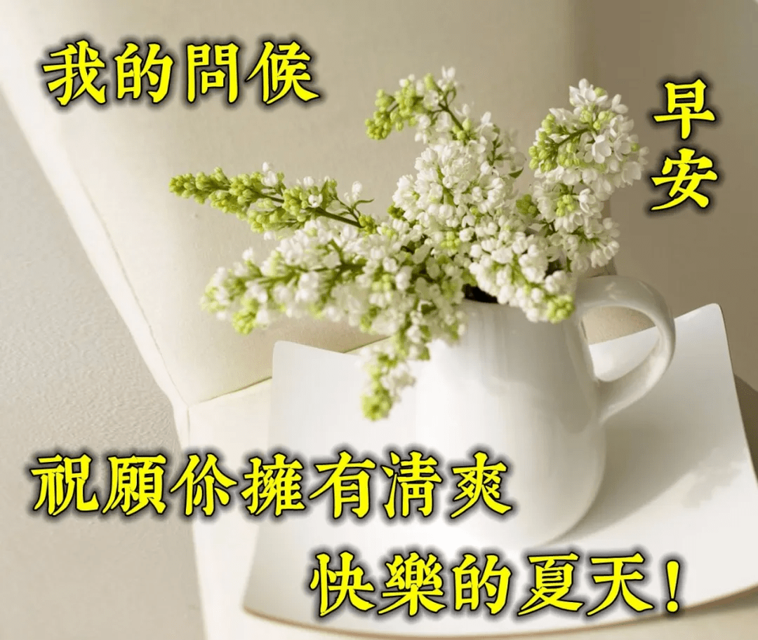 7e107d4de4d440e9a6da41b168289d86.png