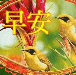 7月12日最漂亮早上好动态表情图片大全,早晨好动图美图大全