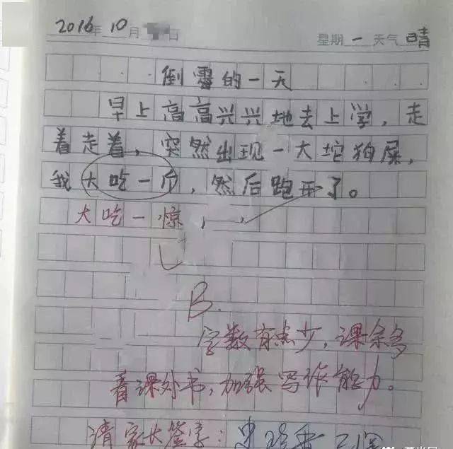小学生作文《做一头猪》,老师看后笑喷,爸妈气得追着打了3条街 小学生作文《做一头猪》,老师看后笑喷,爸妈气得追着打了3条街